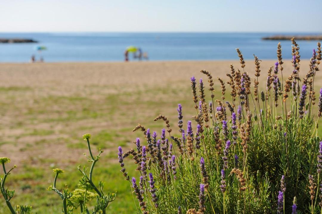 Casa Del Dorado Playa Cambrils Villa ภายนอก รูปภาพ